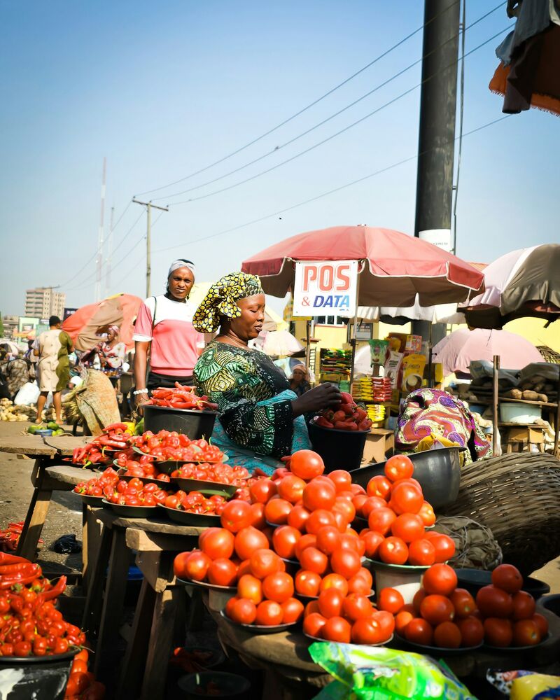 A trader sells fresh tomatoes and peppers at an open-air Nigerian market